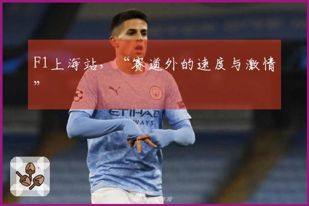 F1上海站，“赛道外的速度与激情”